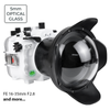 Sea Frogs Salted Line Series Sony A7III / A7RIII 40M/130FT Waterproof camera housing with 6" Glass Dome port V.2 (zoom gear included). White